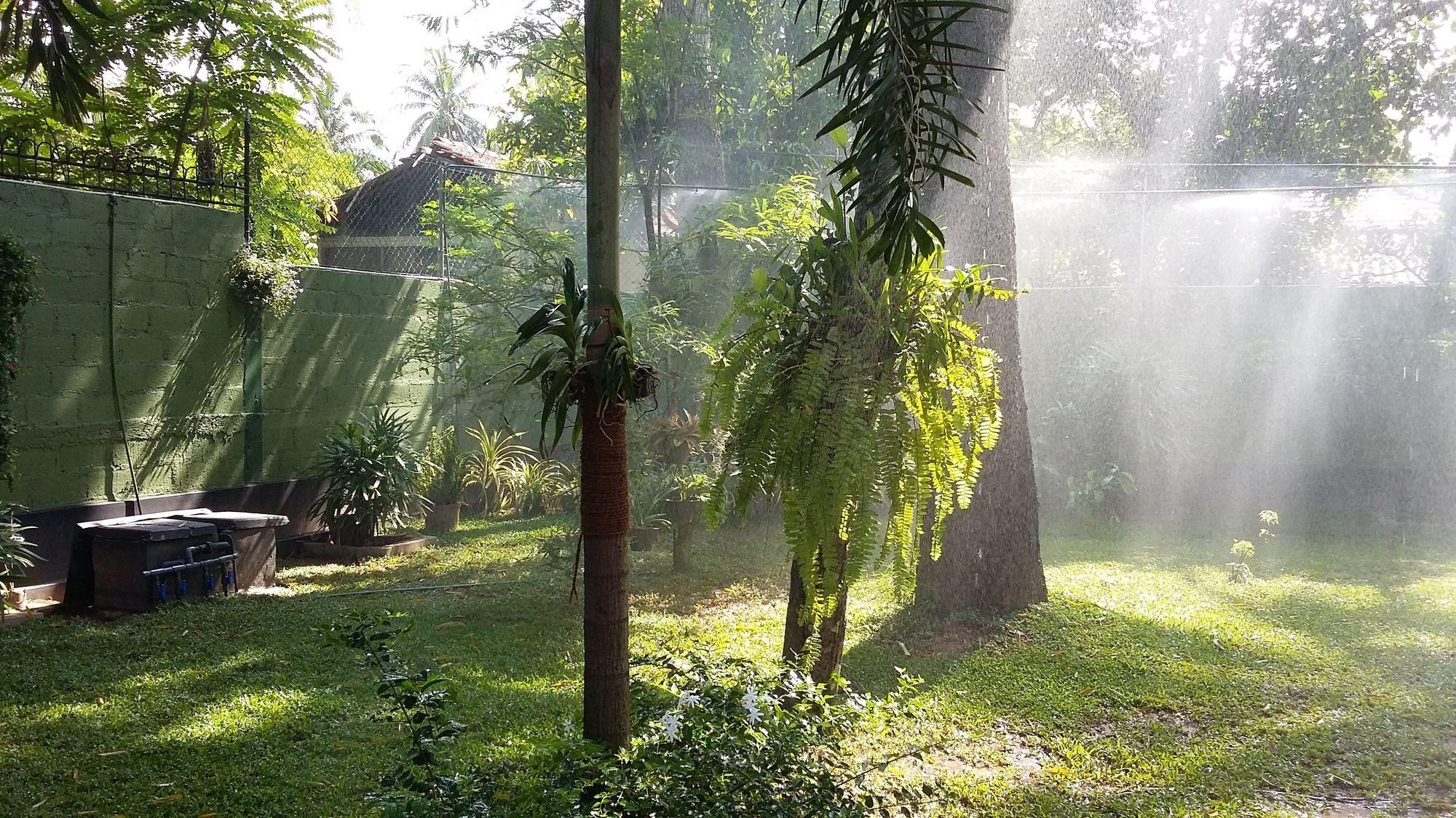 West Dene Negombo Exterior foto